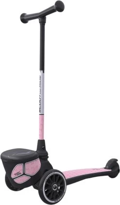 Highwaykick 2 Lifestyle Reflective Rose